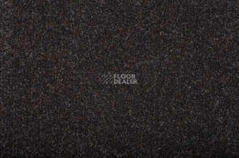 Vebe Andes Andes Pd 80 фото 1 | FLOORDEALER